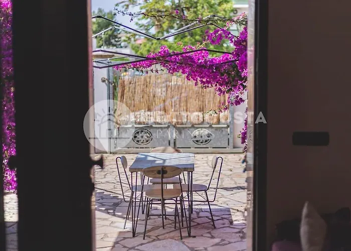 Ludo Porto Cesareo